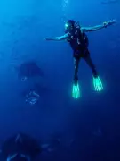 Milind Soman's Epic Pre-Birthday Celebration: Skydiving in Maldives at 58!