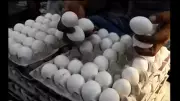 Namakkal Egg Prices Hit Record Rs 6.10 Amid Festive Demand Surge