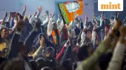 NDA's Tsunami in Bihar: BJP Wins 89, JDU 85 in 2025 Landslide