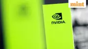 Nvidia Earnings: A Make-or-Break Moment for AI Stocks