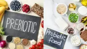 Probiotics vs Prebiotics: Your Guide to Better Gut Health in 2024