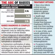 Rajasthan Reports Zero Rabies Deaths Amid 670,000 Dog Bite Vaccinations