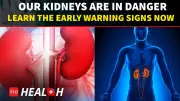 Silent Kidney Damage: Expert Reveals Early Warning Signs Most People Miss