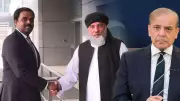 Taliban Trade Minister's Delhi Visit Signals Major Afghan Pivot to India