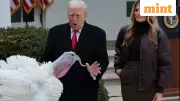 Trump Pardons Turkeys Gobble & Waddle in White House Tradition