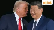 Trump, Xi Plan State Visits in 2025 to Strengthen US-China Ties