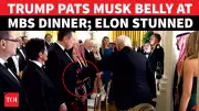 Trump's Surprise Belly Pat to Elon Musk at White House Dinner Sparks Bromance Rumours