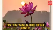 Unlock Lotus Flower Secrets For Faster Hair Growth: Ancient Ayurvedic Remedy Revealed!