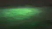 US Waters Swarming with Mysterious Underwater Objects: UFO Tracking App Reveals Shocking Data