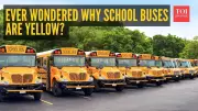 Why School Buses Are Yellow: The Science Behind India's Safety Choice