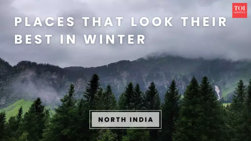 10 Best Places to Visit in North India in January for a Perfect Winter Getaway