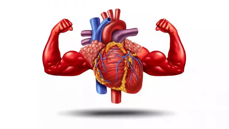 10 Daily Habits to Shield Your Heart: A Guide to Preventing Heart Disease