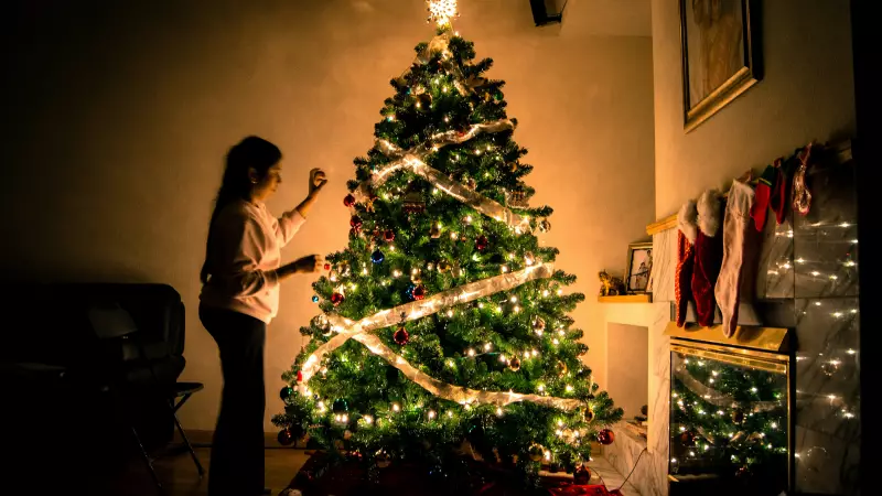10 Surprising Facts About Christmas: History, Traditions & Global Variations