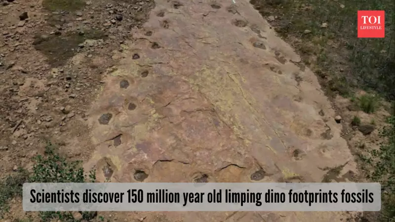 150 Million-Year-Old Limping Dinosaur Tracks Found in Colorado