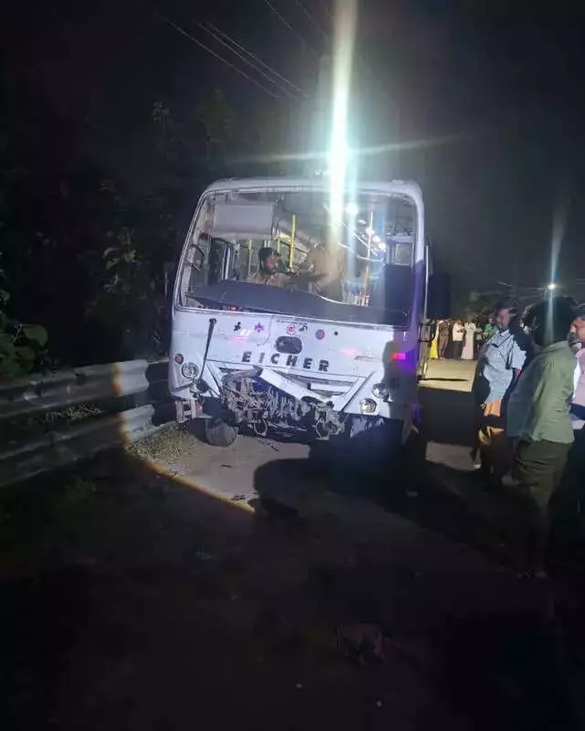 2 Killed, 3 Injured in Chennai Road Accident Involving Stray Cattle