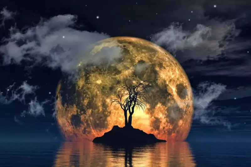 2026 Begins with a Supermoon: Date, Time, and How to Watch in India