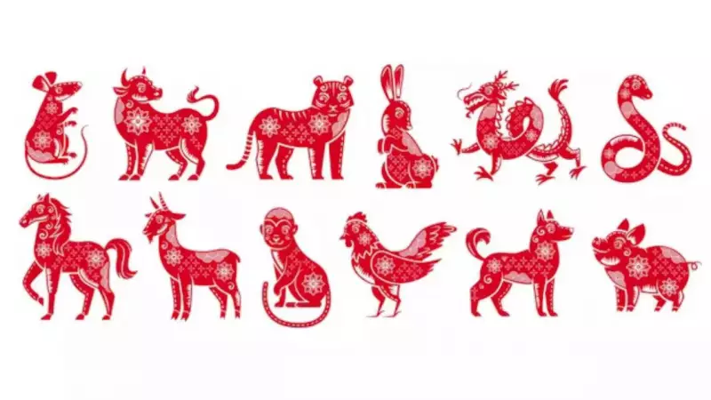 2026 Chinese New Year: Fire Horse Year Predictions for All Zodiac Signs