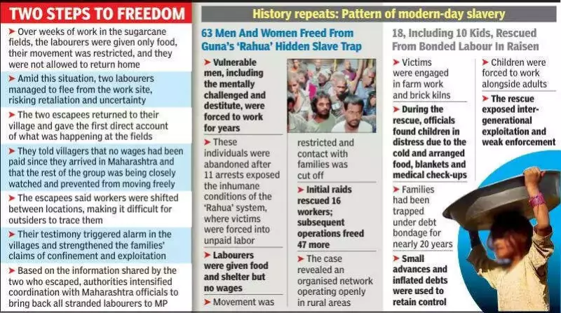 26 Tribal Labourers Rescued from Maharashtra Sugarcane Fields After Captivity