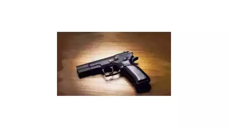 26-Year-Old Woman Dies by Suicide Using Husband's Licensed Pistol in Fatehabad