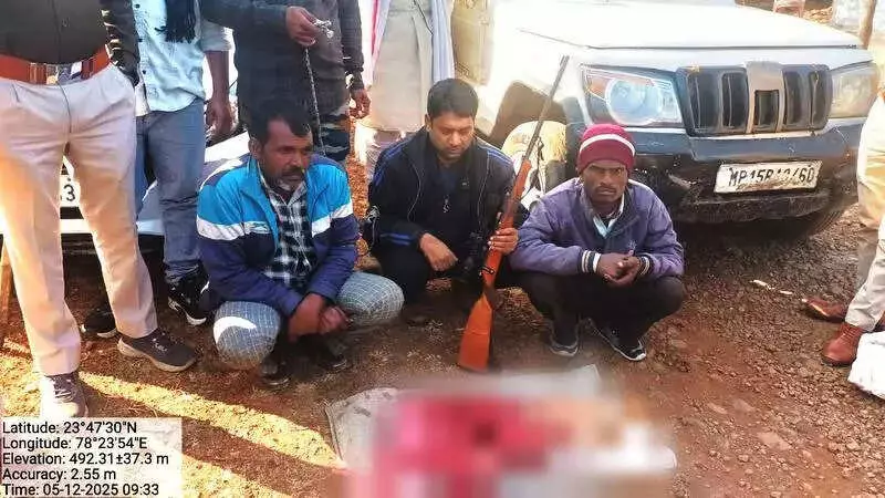 3 Arrested in MP for Poaching Protected Blackbuck, Hide & Firearm Seized