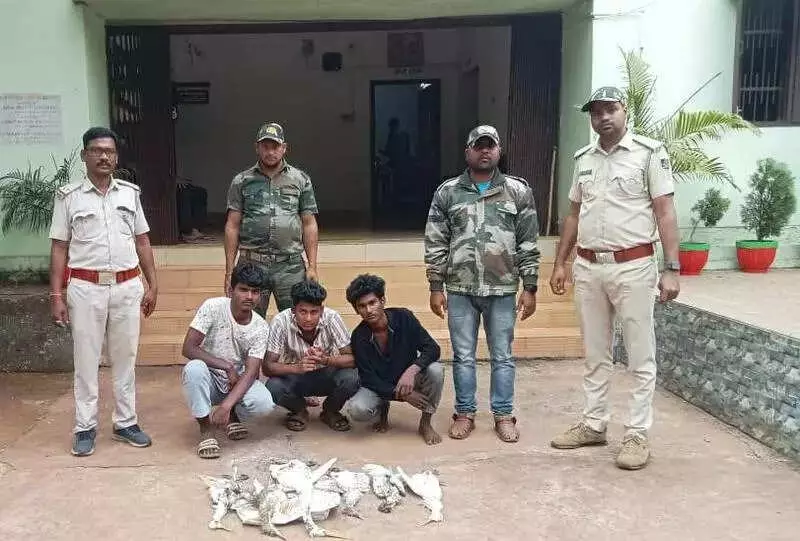 3 Bird Poachers Arrested in Jajpur, 14 Migratory Birds Seized in Winter's First Case