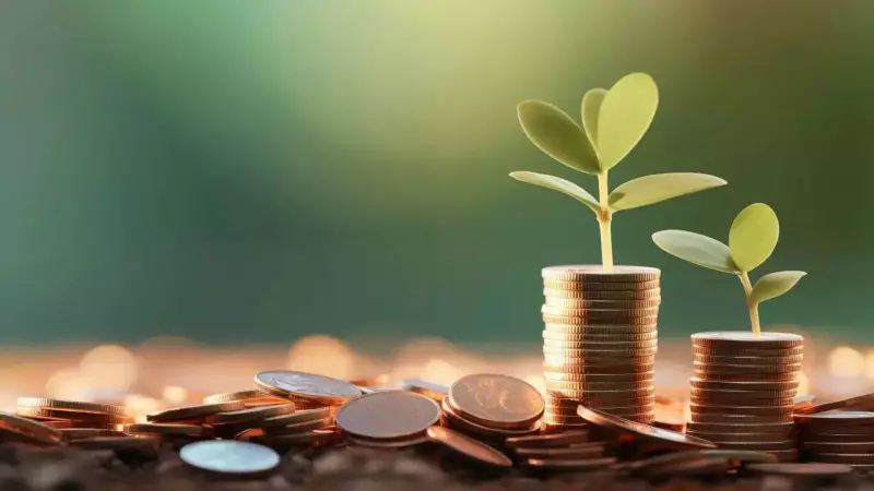 4 Zodiac Signs Naturally Attracted to Wealth: Astrology Reveals Money Magnets