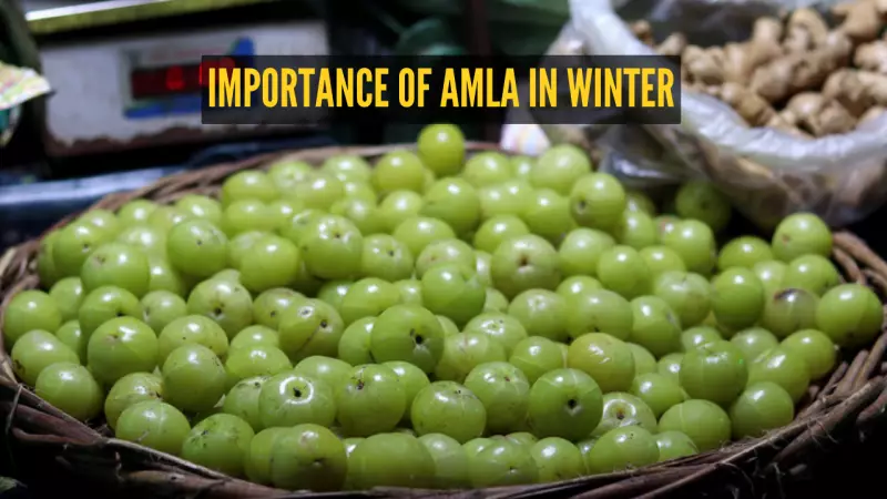 5 Foods to Pair with Amla This Winter for Immunity & Taste