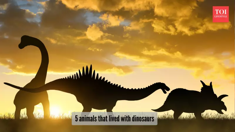 5 Living Animals That Walked Earth with Dinosaurs: Sharks to Tuataras