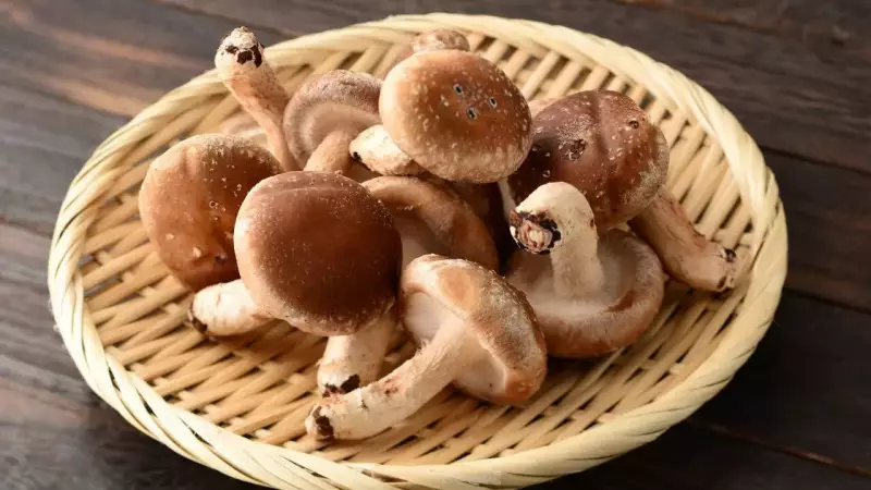 5 Simple Steps to Store Mushrooms & Keep Them Fresh for 7 Days