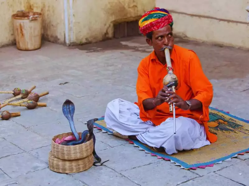 5 Spiritual Meanings of Snake Dreams: What Your Subconscious is Revealing