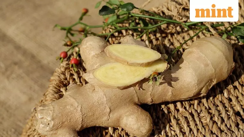 5 Winter Health Benefits of Ginger: From Digestion to Lung Health