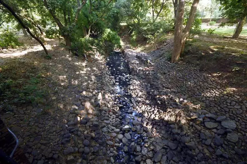 54% Punjab Pollution Sources Still Active, PPCB Tells NGT