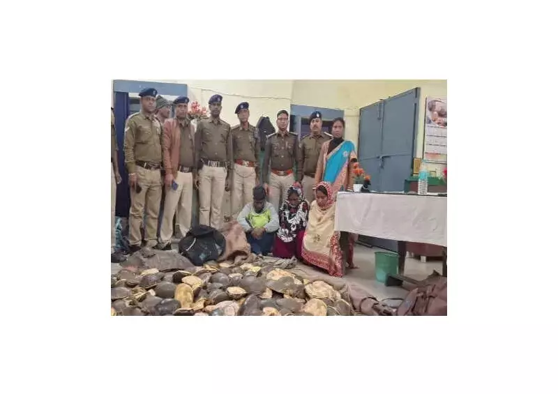 662 Baby Turtles Seized, 3 Arrested in Farakka Express Smuggling Bust