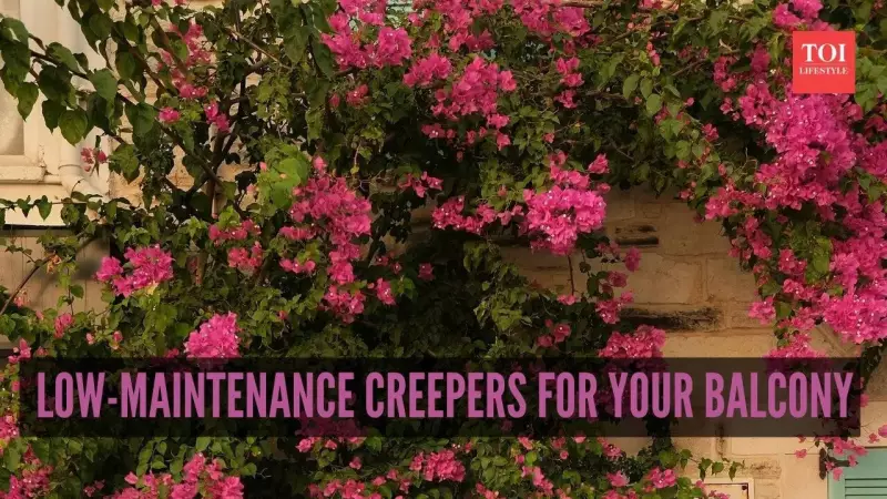 7 Low-Maintenance Creepers for a Premium Balcony Makeover in Indian Homes