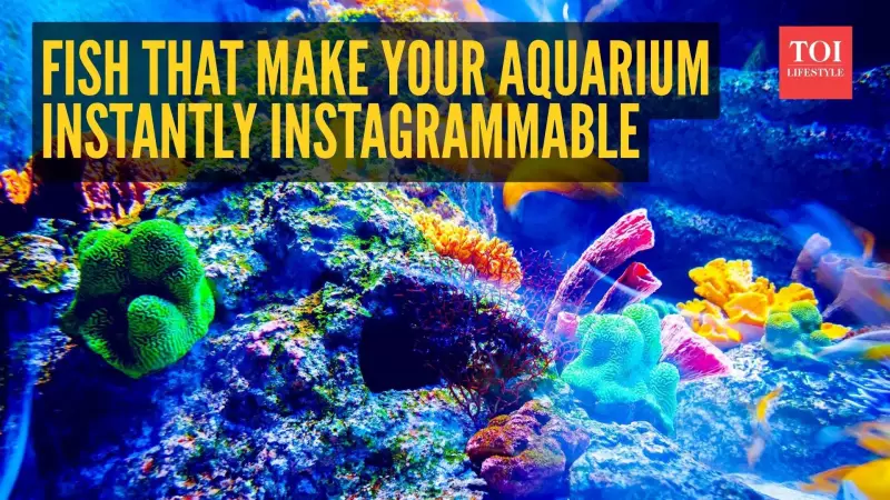 7 Unique Fish to Transform Your Aquarium into an Instagram Sensation
