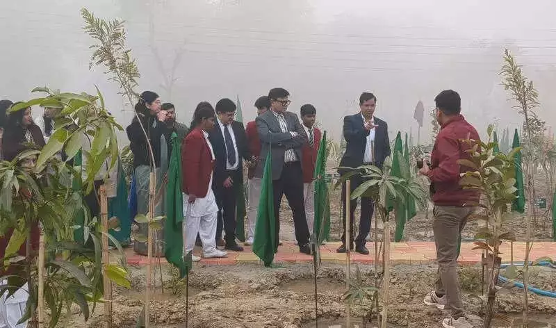 850 Saplings Planted by Noida School Amid Pollution, Spark Parental Concern
