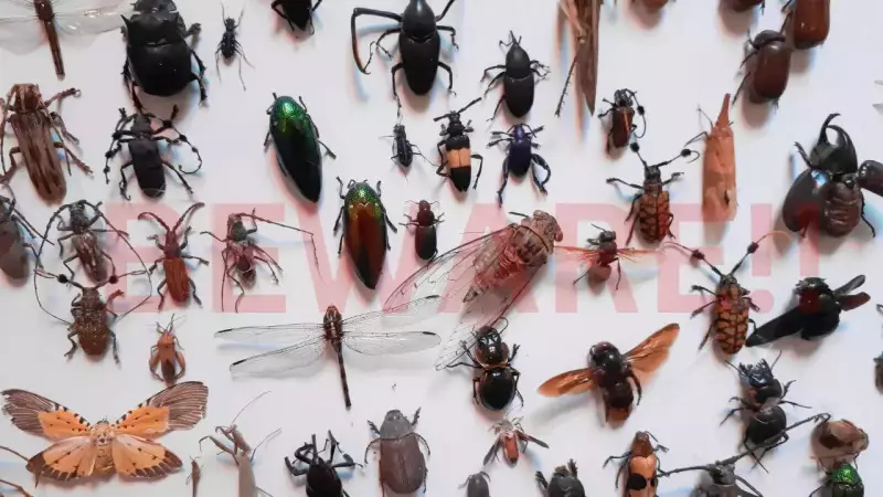 9 Most Lethal Insects: Tiny Creatures Causing Millions of Human Deaths