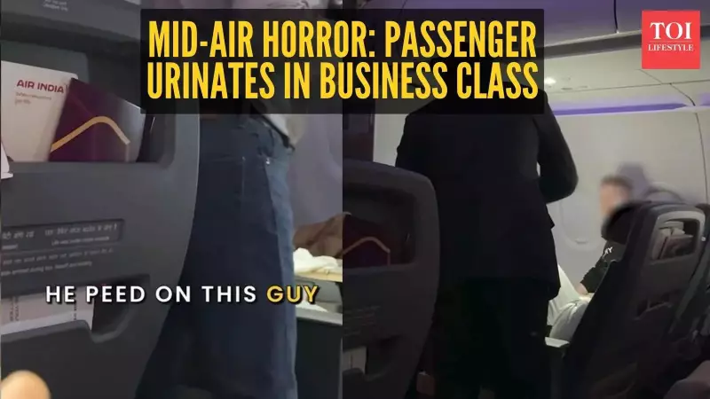Air India Business Class Passenger Accused of Urinating on Fellow Travellers Mid-Air