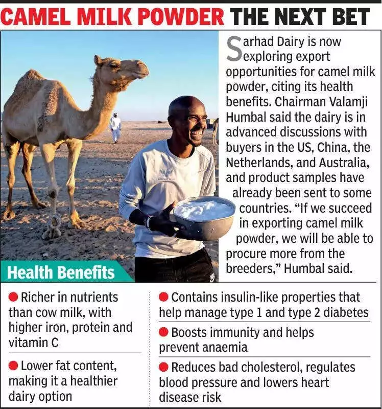 Amul's Camel Milk Dream Sours: Stagnant Demand Leaves Gujarat Breeders in Lurch