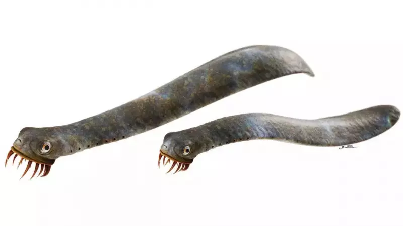 Ancient Conodonts Had Sharper Teeth Than Sharks, Reveals New Study