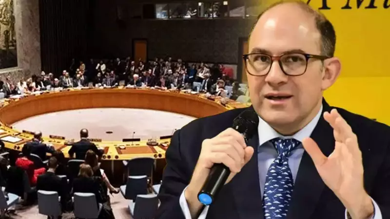 Argentina Endorses India's UNSC Permanent Seat Bid, Calls 1945 Model Outdated