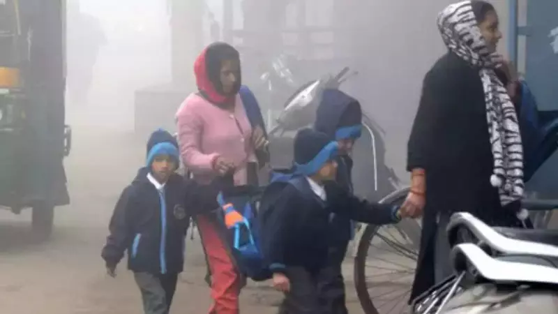 Assam Schools Shut for a Week as Cold Wave Grips Guwahati, Temps Drop 6.4°C Below Normal