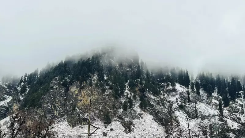 Avalanche Warning Issued in 5 Jammu & Kashmir Districts After Heavy Snowfall