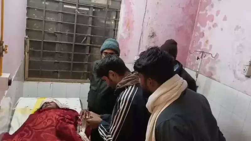 Bear Attack in West Champaran: 19-Year-Old Injured Near Valmiki Tiger Reserve