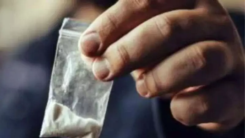 Bengaluru Airport Seizes Rs 6.23 Crore Hydro Ganja, Three Arrested