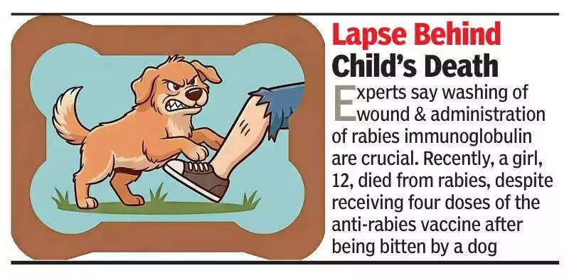Bengaluru Girl's Rabies Death Exposes Critical Gap in Post-Bite Care