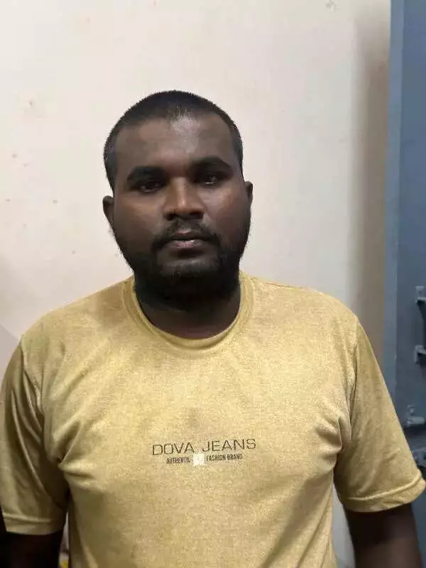 Bengaluru Police Seize 1,143 Kg Red Sanders in Thrilling Chase, Uncover Smuggling Syndicate