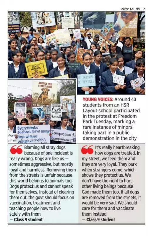 Bengaluru Students Join Protest Against SC Stray Dog Order, Cite Shelter Shortage