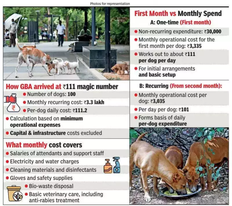 Bengaluru's Stray Dog Care Cost Pegged at Rs 111 Per Day, Sparks Adequacy Debate