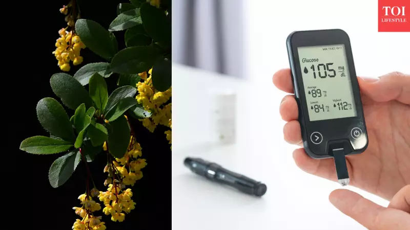 Berberine: Natural Blood Sugar Control with 1200mg Daily Dose